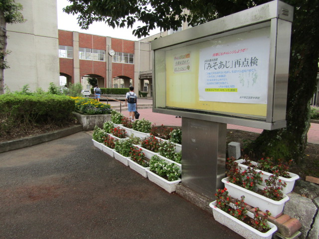 IMG_6855[1]