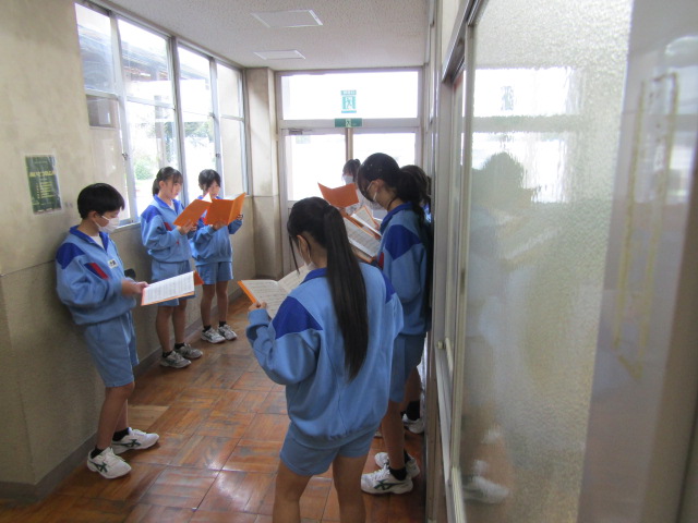 IMG_6973[1]