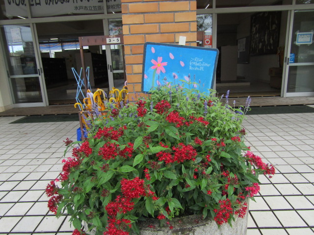 IMG_7392[1]
