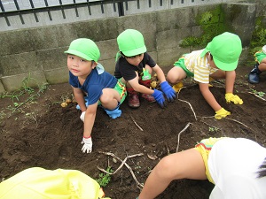 IMG_9123 IMG_9123