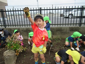IMG_9116 IMG_9116