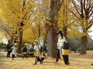 イチョウ並木 (2) イチョウ並木 (2)