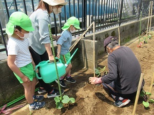 夏野菜 (6) 夏野菜 (6)
