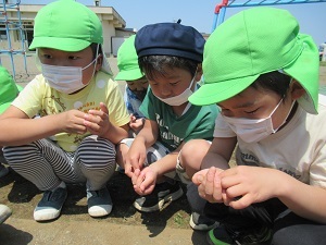 夏野菜 (2) 夏野菜 (2)