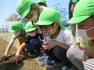 夏野菜 (3) 夏野菜 (3)