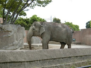 遠足 (2) 遠足 (2)