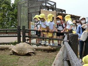 遠足 (3) 遠足 (3)