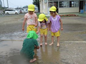 IMG_1870 IMG_1870