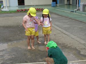 IMG_1872 IMG_1872