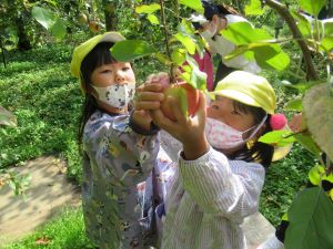 IMG_3032 IMG_3032