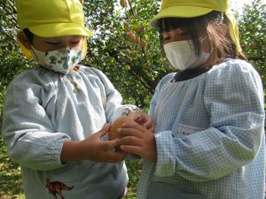 IMG_3031 IMG_3031
