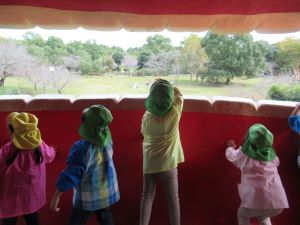 IMG_3067 IMG_3067