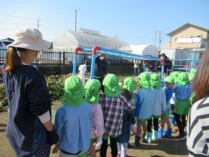 IMG_3230 IMG_3230
