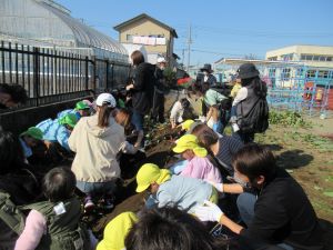 IMG_3234 IMG_3234