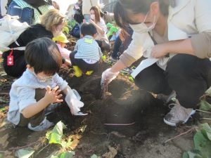 IMG_3242 IMG_3242