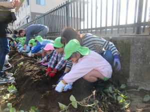IMG_3237 IMG_3237