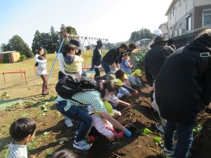 IMG_3238 IMG_3238