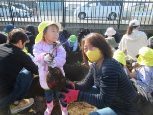 IMG_3248 IMG_3248