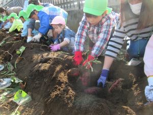 IMG_3241 IMG_3241