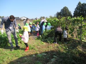 IMG_3265 IMG_3265