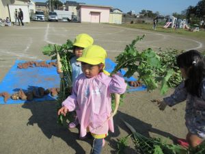 IMG_3270 IMG_3270