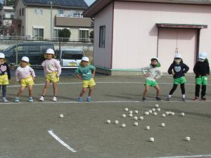 IMG_3479 IMG_3479