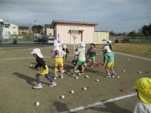 IMG_3484 IMG_3484