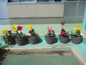 IMG_4498 IMG_4498