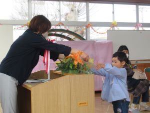 IMG_4531 IMG_4531
