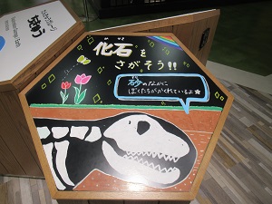 遠足化石 遠足化石