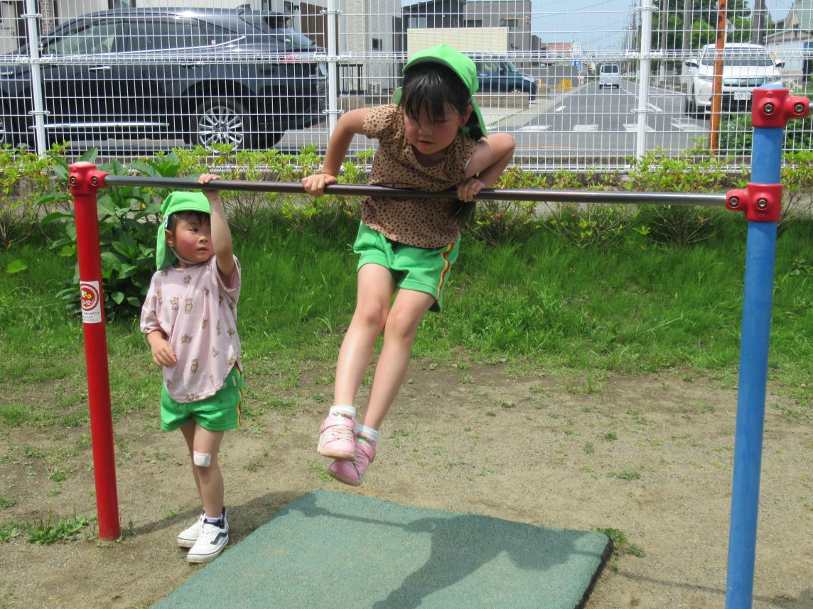 IMG_2008 IMG_2008
