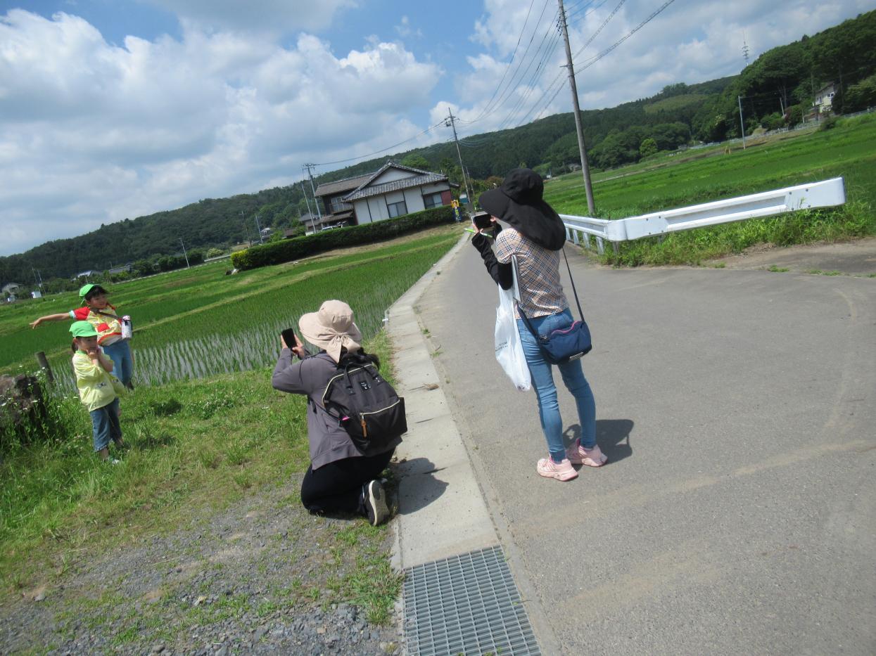 IMG_2638 IMG_2638