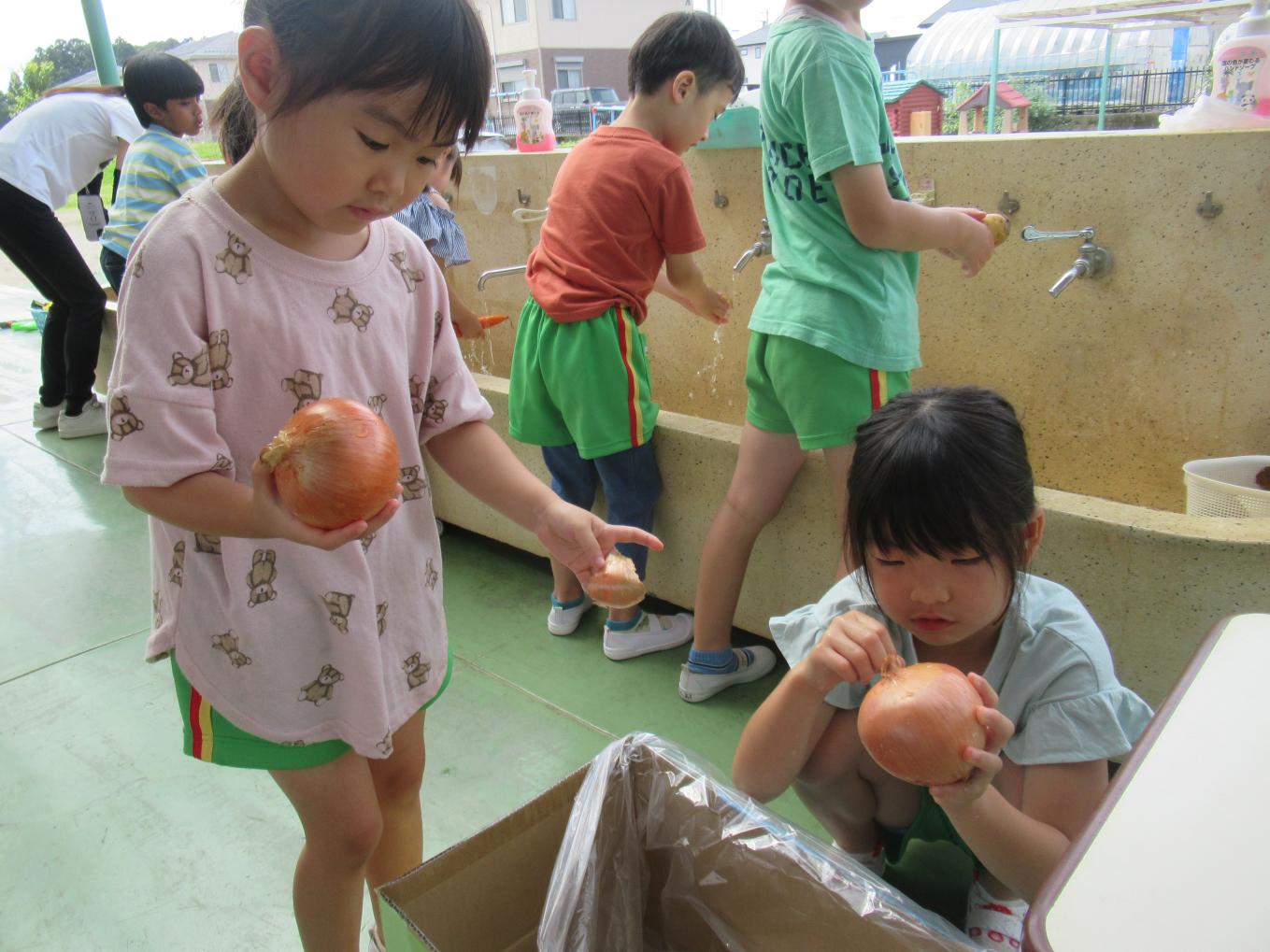 IMG_0276 IMG_0276