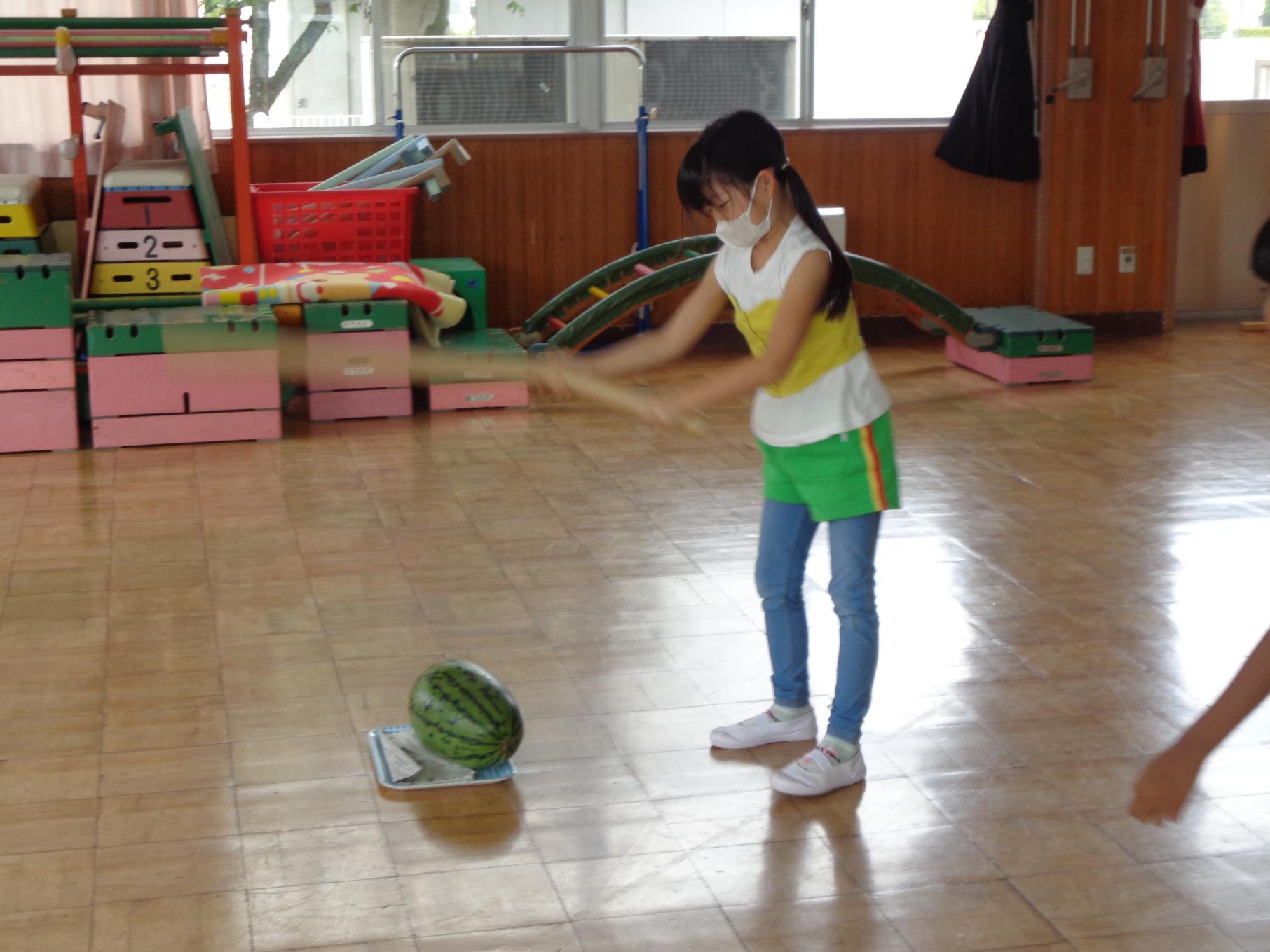 DSC01113 DSC01113