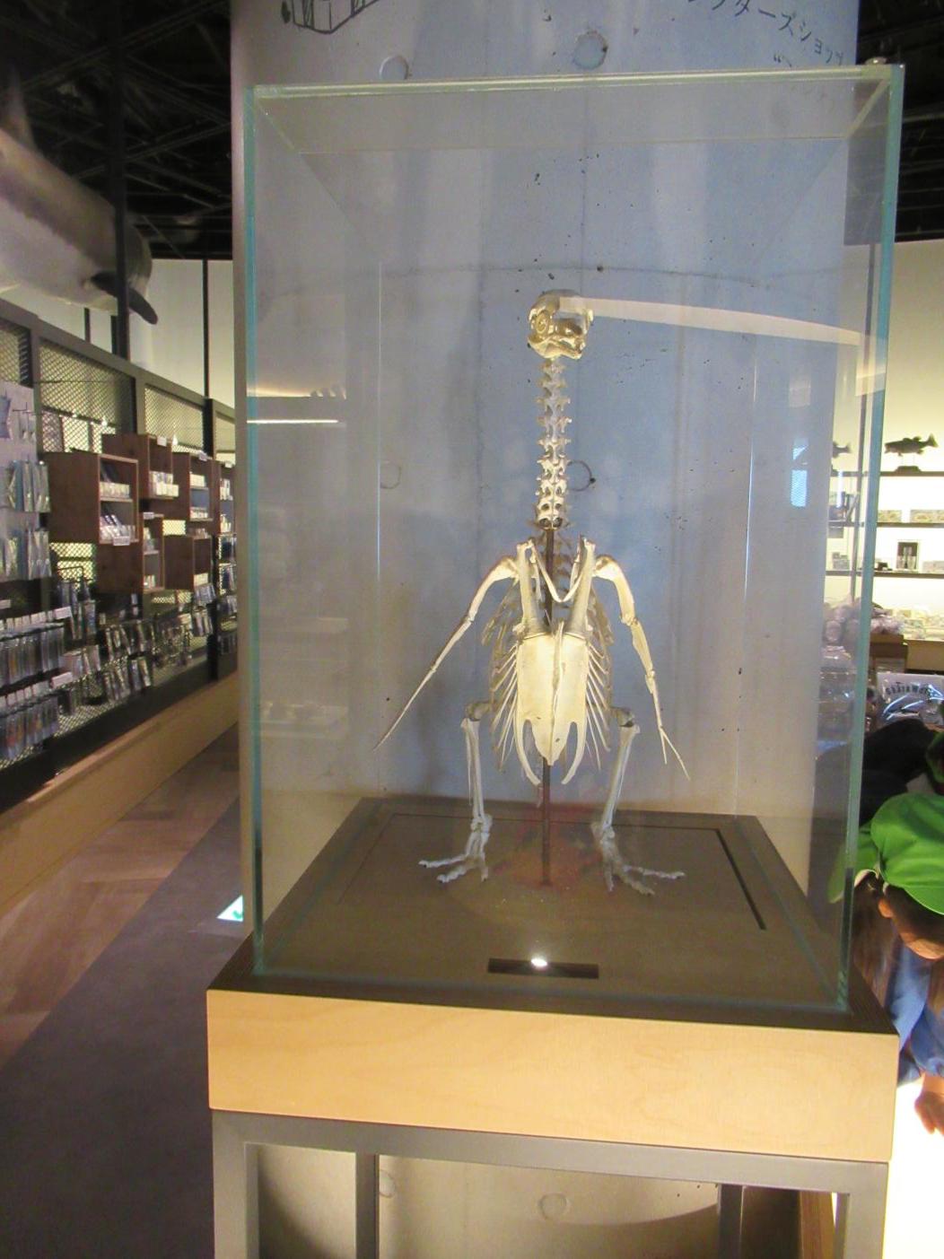 IMG_1035 IMG_1035