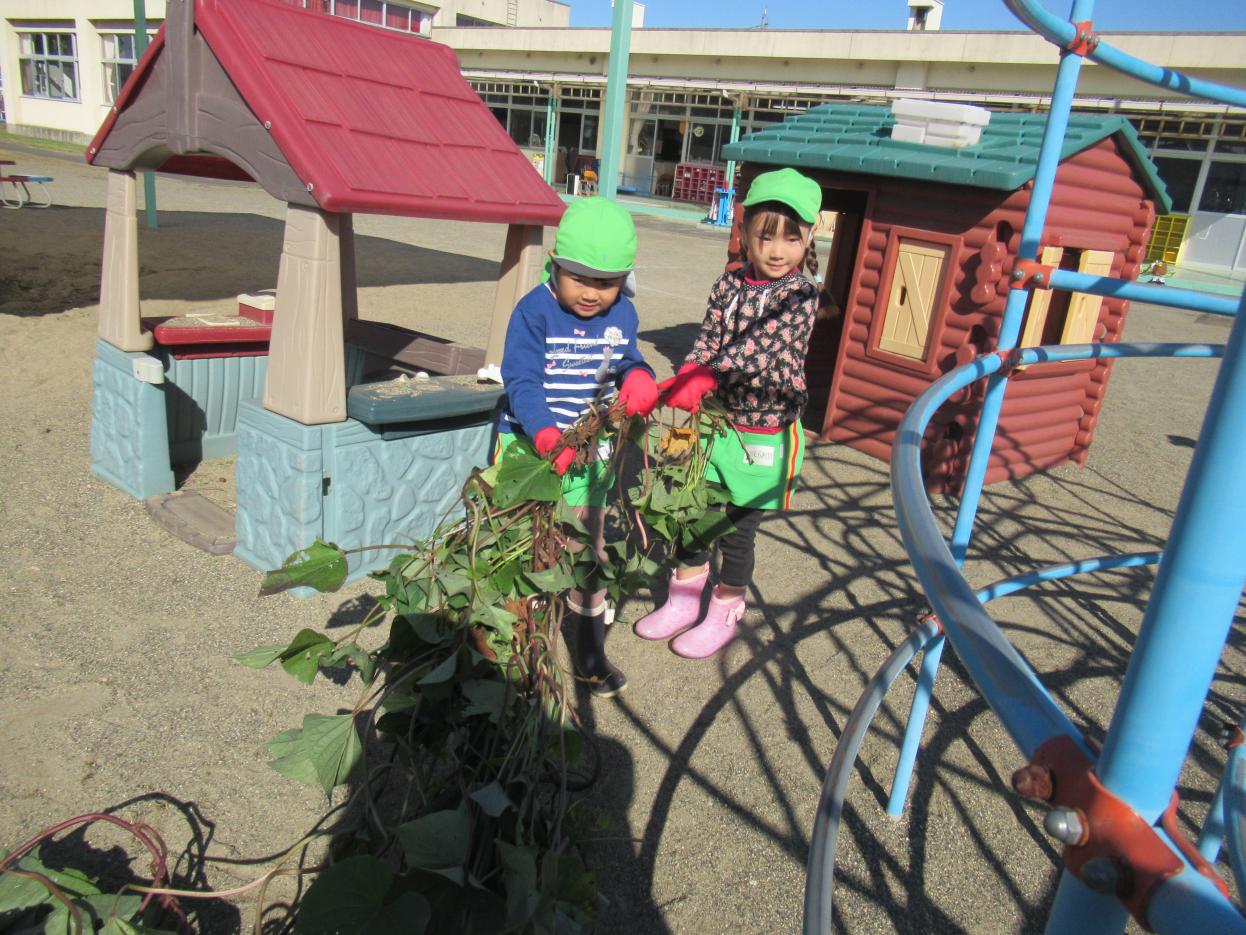 IMG_1172 IMG_1172