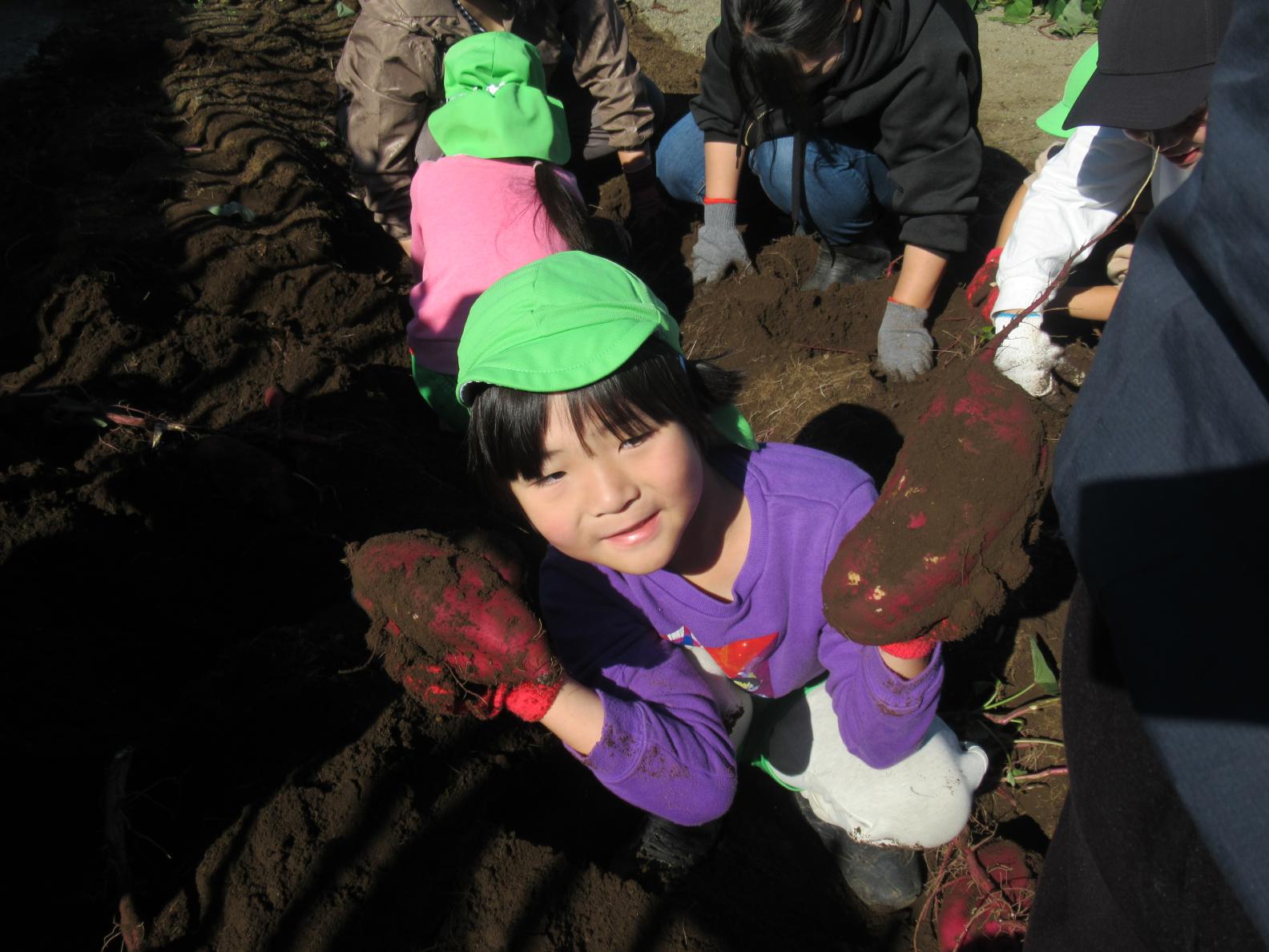 IMG_1200 IMG_1200