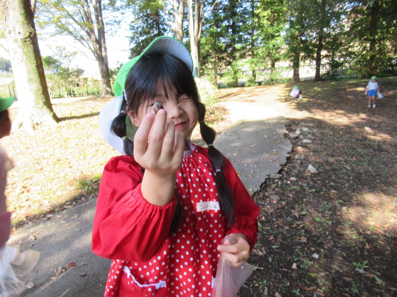 IMG_1310 IMG_1310