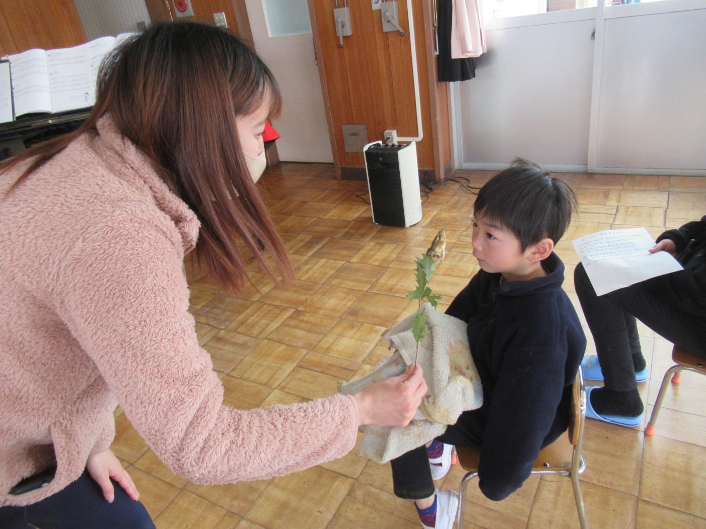 IMG_0137 IMG_0137