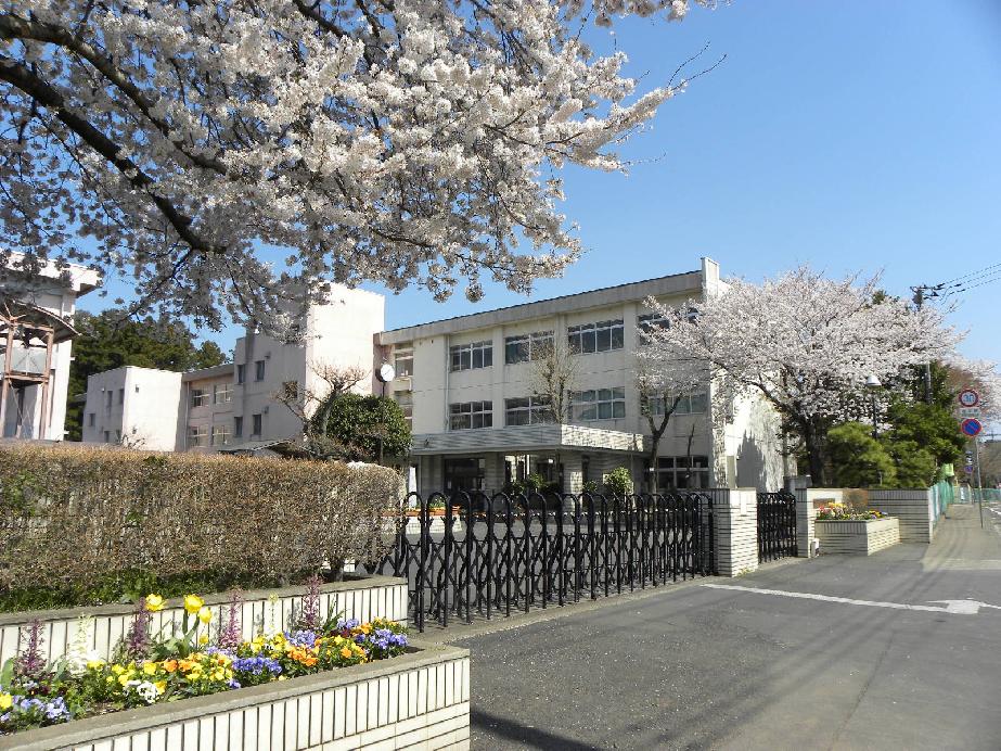  校門の桜