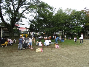 IMG_1638 IMG_1638