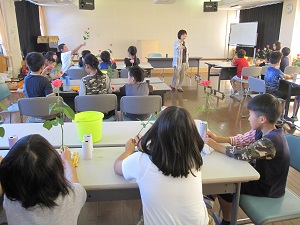 IMG_1436 IMG_1436