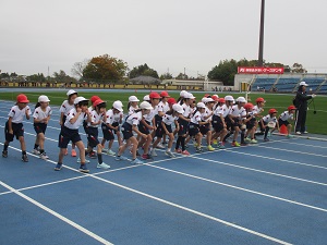 IMG_0133 IMG_0133