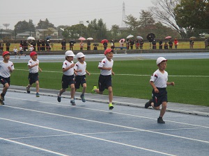 IMG_0135 IMG_0135