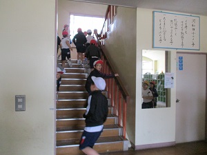 IMG_0995 IMG_0995