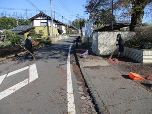 IMG_2232 IMG_2232