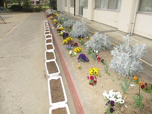 IMG_2684 IMG_2684