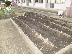 IMG_2682 IMG_2682