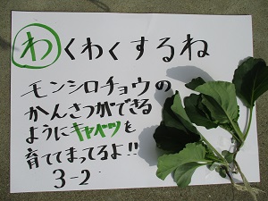 (2) (2)