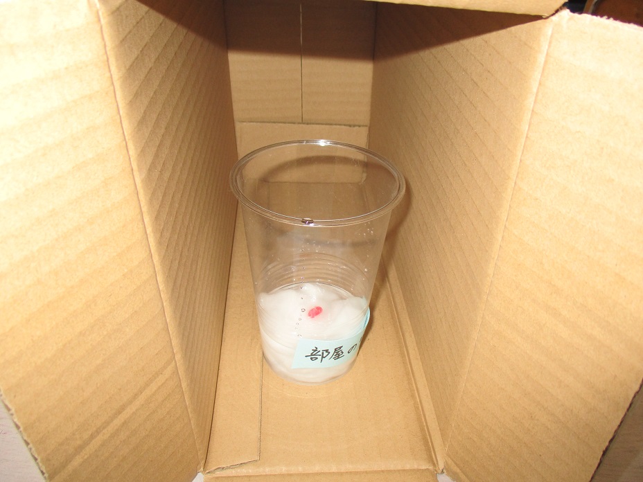 理科発芽